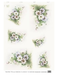 carta riso malva sonie ames