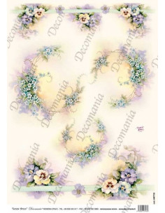 carta riso panzè sonie ames 2