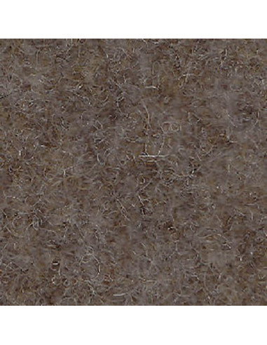 Feltro Modellabile 30x30cm col.352 Terra