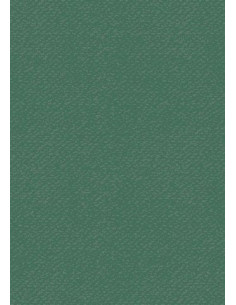 Cartoncino Heyda A4 220gr set 10fg. Verde scuro