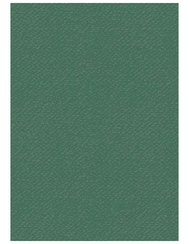 Cartoncino Heyda A4 220gr set 10fg. Verde scuro