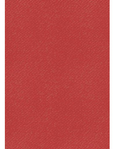 Cartoncino Heyda A4 220gr set 10fg. Rosso