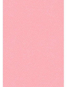 Cartoncino Heyda A4 220gr set 10fg. Rosa