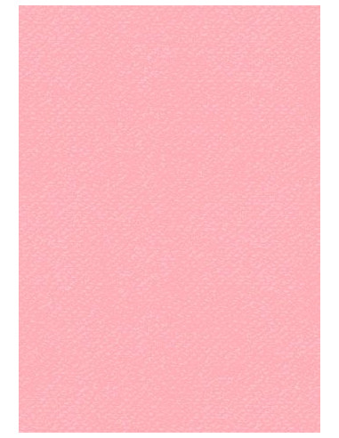 Cartoncino Heyda A4 220gr set 10fg. Rosa