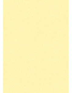 Cartoncino Heyda A4 220gr set 10fg. Avorio scuro