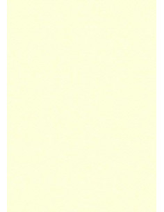 Cartoncino Heyda A4 220gr set 10fg. Avorio