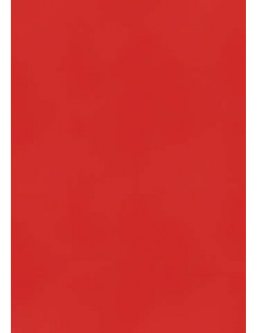 Cartoncino Heyda A4 300gr set 10fg. Rosso