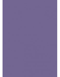 Cartoncino Heyda A4 300gr set 10fg. Viola Scuro