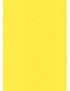 Cartoncino Heyda A4 300gr set 10fg. Giallo Limone