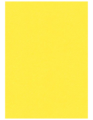 Cartoncino Heyda A4 300gr set 10fg. Giallo Limone