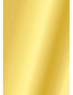 Cartoncino Heyda A4 300gr set 10fg. Oro Lucido