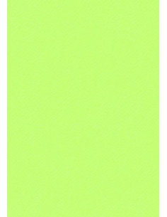 Cartoncino Heyda A4 220gr set 10fg. Verde chiaro