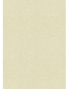 Cartoncino Heyda A4 220gr set 10fg. Grigio chiaro