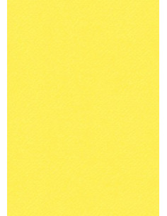 Cartoncino Heyda A4 220gr set 10fg. Giallo