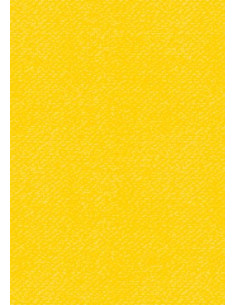 Set 10 fogli Cartoncino Heyda A4 220gr Giallo
