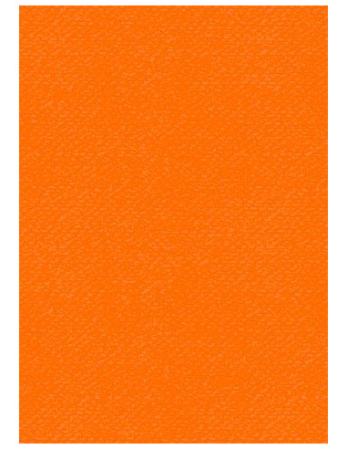 Set 10 fogli Cartoncino Heyda A4 220gr Arancio