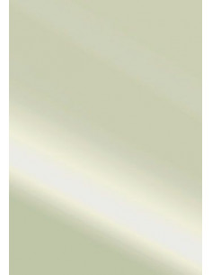 Set 10 fogli Cartoncino Heyda A4 220gr Argento