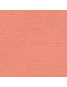 Set 10 fogli Cartoncino Efco 216gr 30,6x30,6cm - Coral Rose