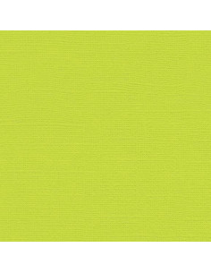 Set 10 fogli Cartoncino Efco 216gr 30,6x30,6cm - Limelight