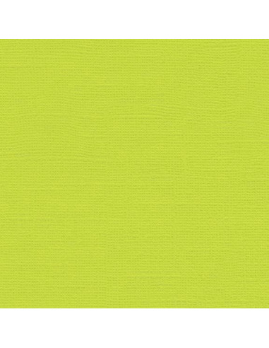 Set 10 fogli Cartoncino Efco 216gr 30,6x30,6cm - Limelight