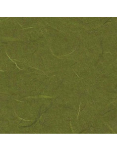 Carta di riso Verde Muschio 25gr 70x100cm