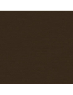 Cartoncino Bazzill 216gr 30,6x30,6cm - Brown Eyes 59908