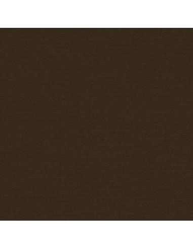 Cartoncino Bazzill 216gr 30,6x30,6cm - Brown Eyes 59908