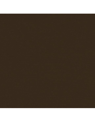 Cartoncino Bazzill 216gr 30,6x30,6cm - Brown Eyes 59908