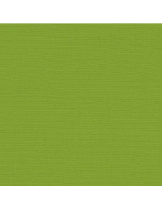 Cartoncino Bazzill 216gr 30,6x30,6cm - MintJulep 55516