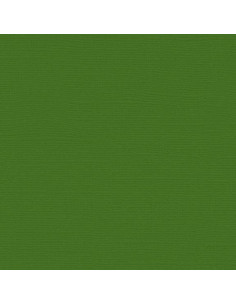 Cartoncino Bazzill 216gr 30,6x30,6cm - Parrot 55521