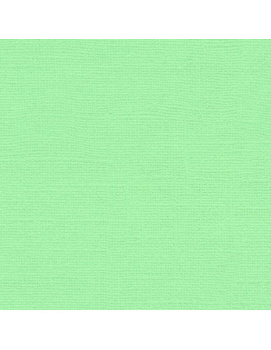 Set 10 fogli Cartoncino Efco 216gr 30,6x30,6cm - Spearmint