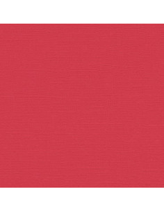 Cartoncino Bazzill 216gr 30,6x30,6cm - Pimento51114