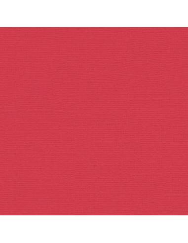 Cartoncino Bazzill 216gr 30,6x30,6cm - Pimento51114
