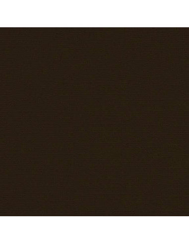 Cartoncino Bazzill 216gr 30,6x30,6cm -  Espresso Bean 59909
