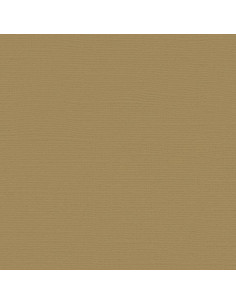 Cartoncino Bazzill 216gr 30,6x30,6cm - Chamois 58810