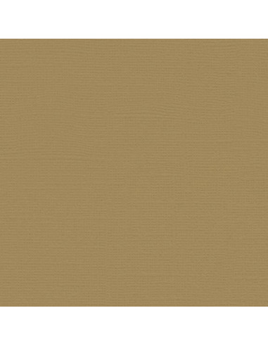 Cartoncino Bazzill 216gr 30,6x30,6cm - Chamois 58810