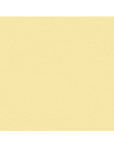 Cartoncino Efco 216gr 30,6x30,6cm - Ecru