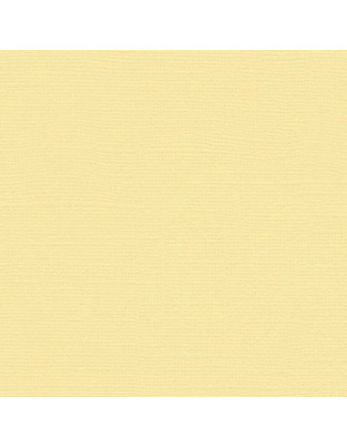 Cartoncino Efco 216gr 30,6x30,6cm - Ecru