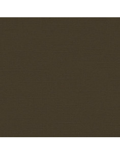 Cartoncino Bazzill 216gr 30,6x30,6cm - Charcoal 5101017