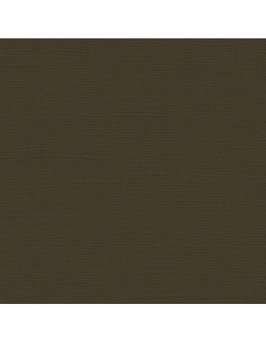 Cartoncino Bazzill 216gr 30,6x30,6cm - Charcoal 5101017