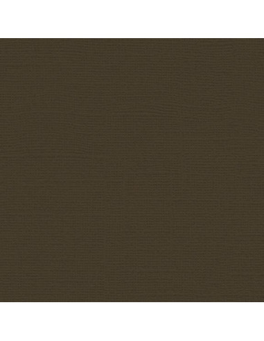 Cartoncino Bazzill 216gr 30,6x30,6cm - Charcoal 5101017