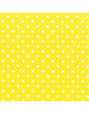 Foglio FELTRO 30x40cm 1mm POIS Giallo-Bianco 25017130