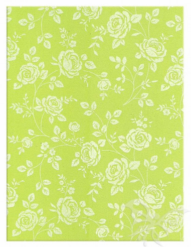 Foglio Moosgummi 40x60cm 2mm Rose Verde Pistacchio-Bianco