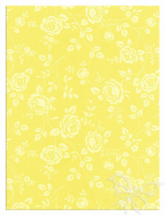 Foglio Moosgummi 40x60cm 2mm Rose Giallino Pastello-Bianco