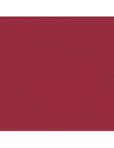 Cartoncino Bazzill 216gr 30,6x30,6cm - Dare Devil