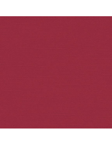 Cartoncino Bazzill 216gr 30,6x30,6cm - Dare Devil