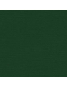 Cartoncino Bazzill 216gr 30,6x30,6cm - Evergreen
