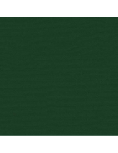 Cartoncino Bazzill 216gr 30,6x30,6cm - Evergreen