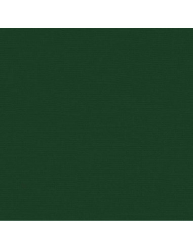 Cartoncino Bazzill 216gr 30,6x30,6cm - Evergreen
