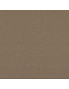 Cartoncino Kraft 300gr 30,5x30,5cm 2